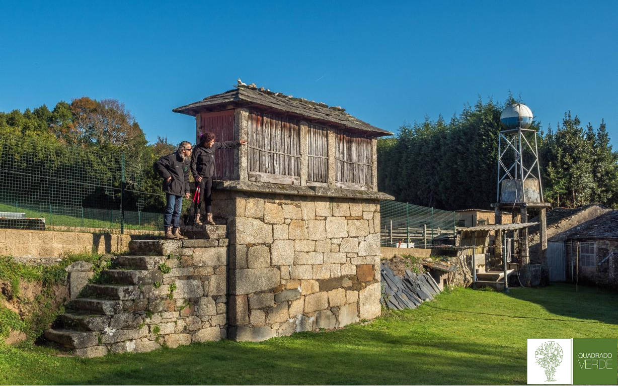 Camino santo andre GR55 07 A