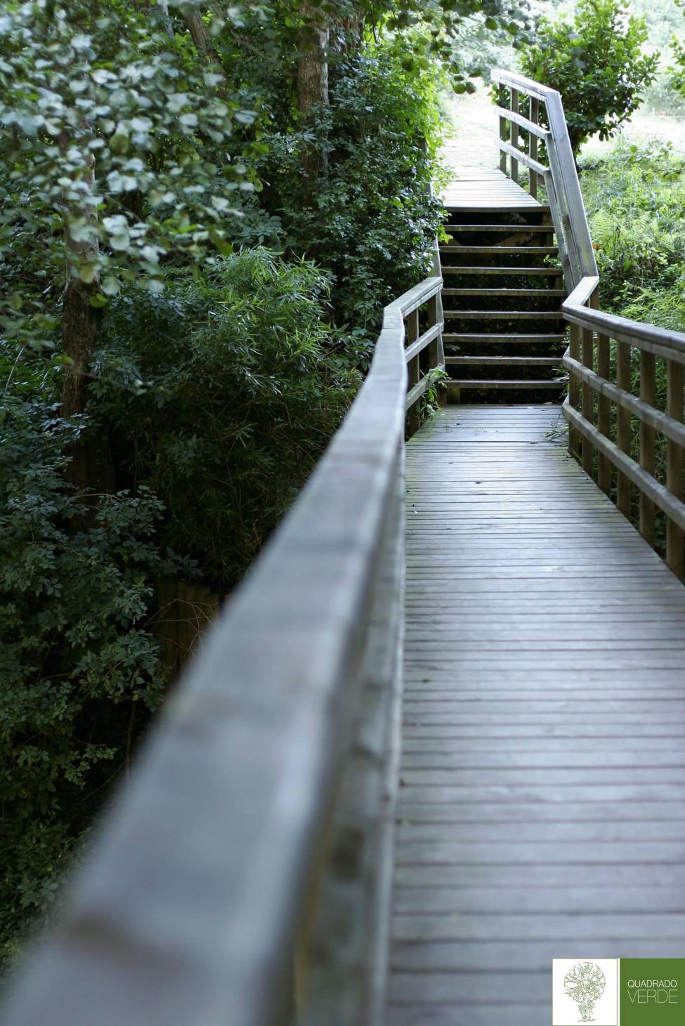 CAMPO AREA RECREATIVA ISLA RIO MERA 1