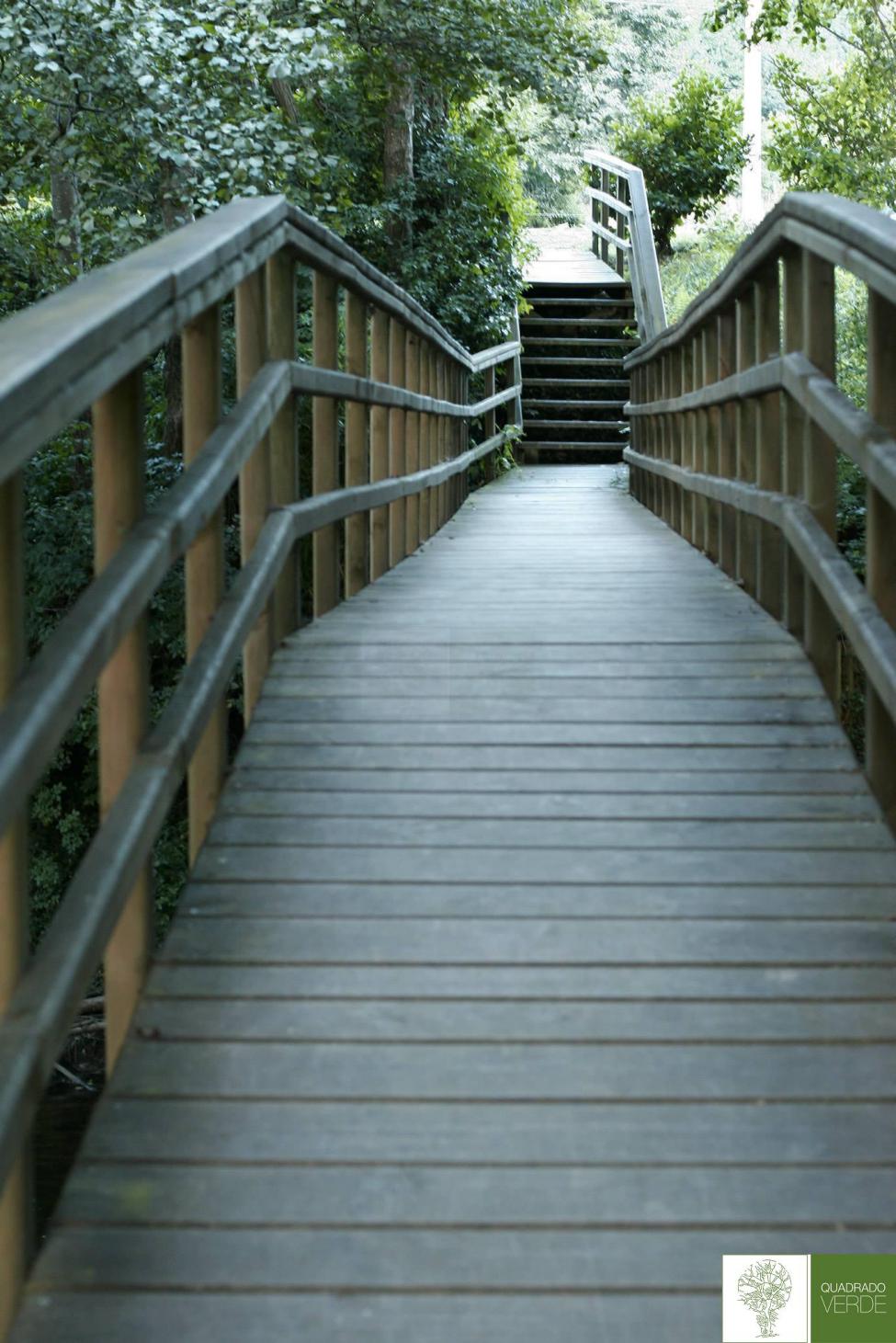 Puente de madera con barandilla