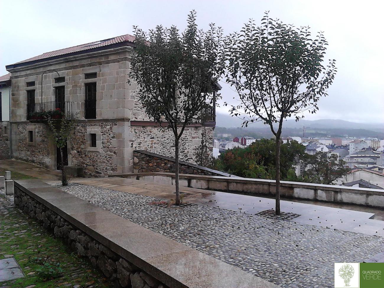 mantenimiento del paseo