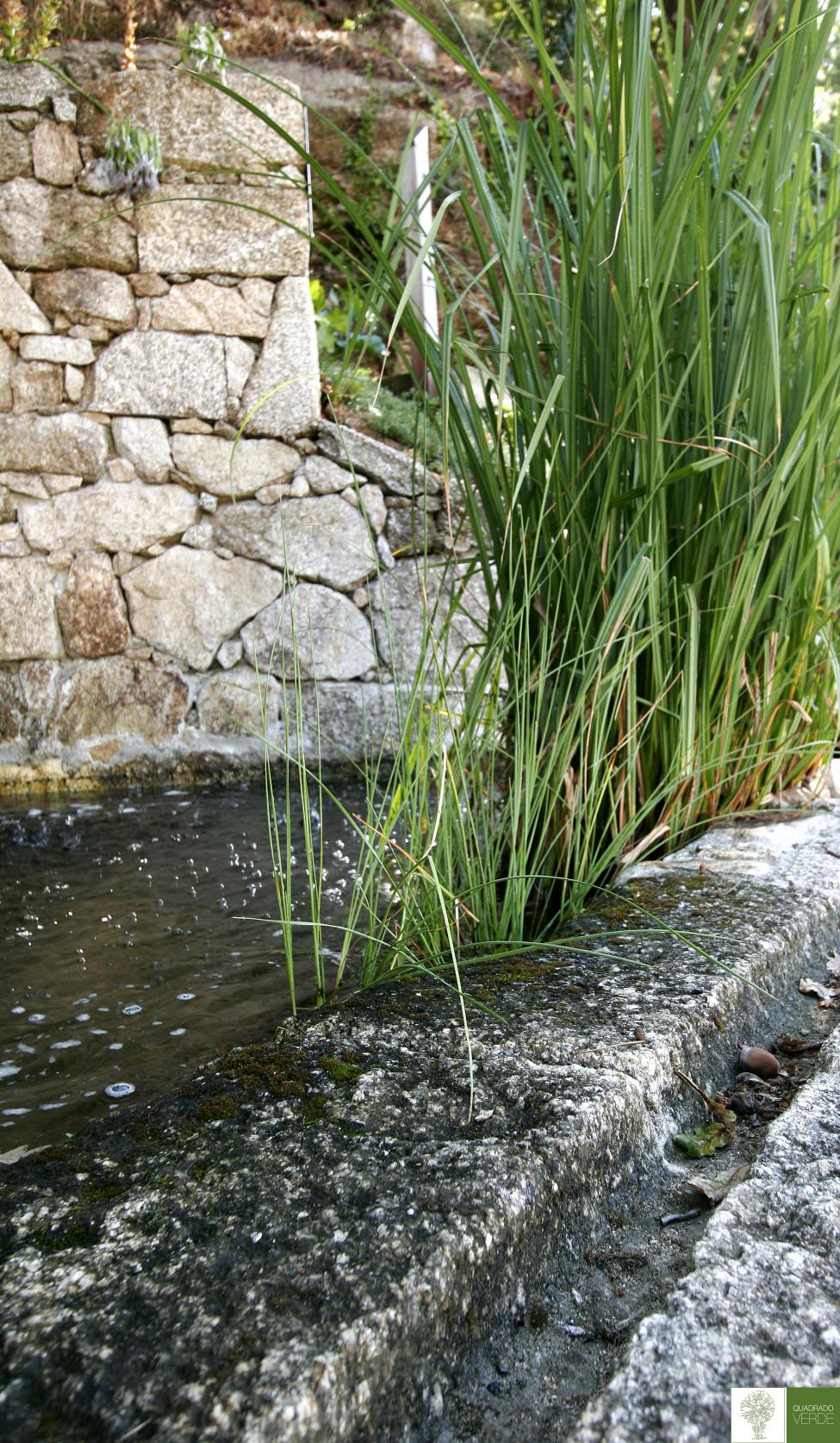 Bordillos y canalones