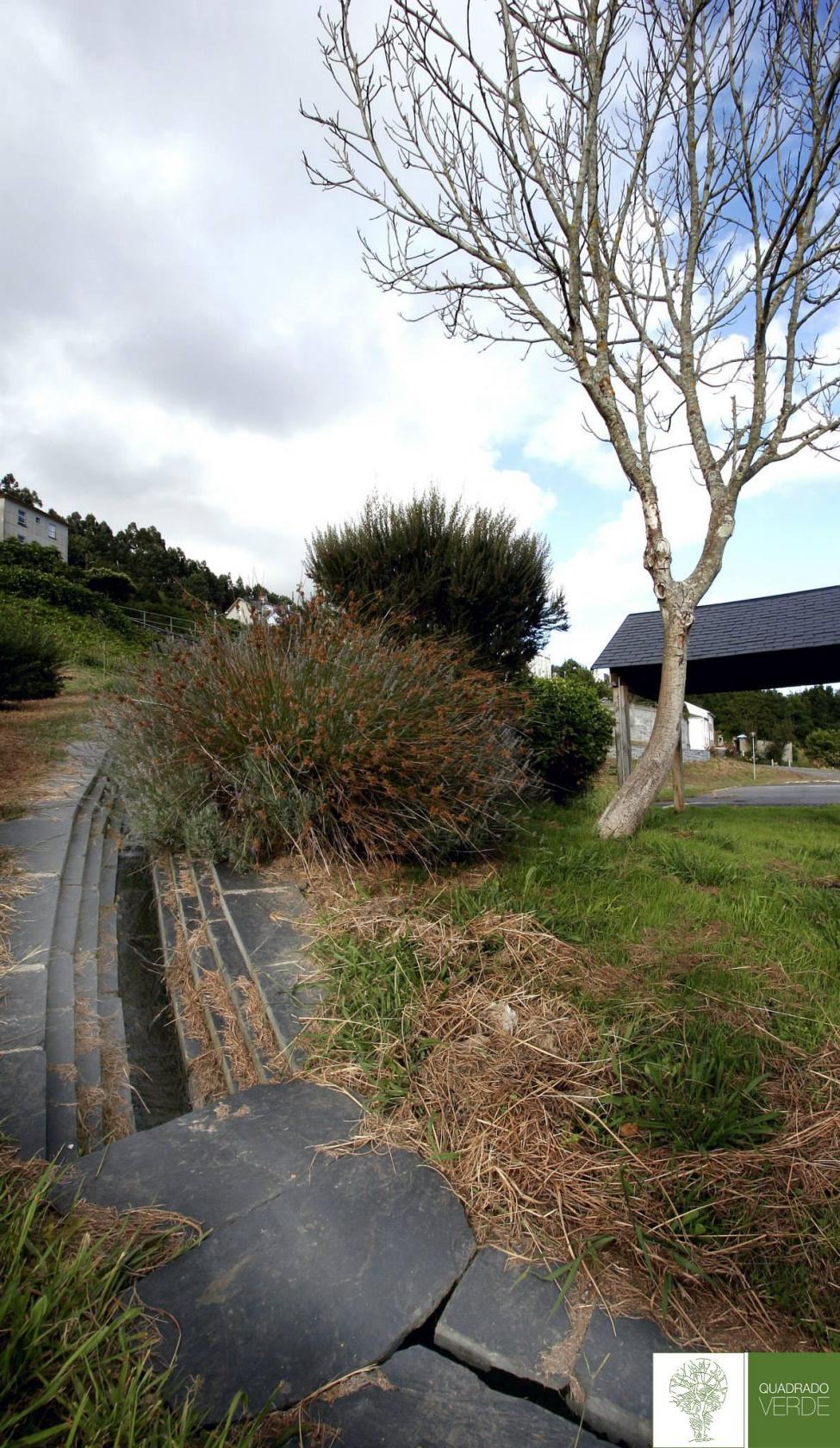 Trabajos de jardineria