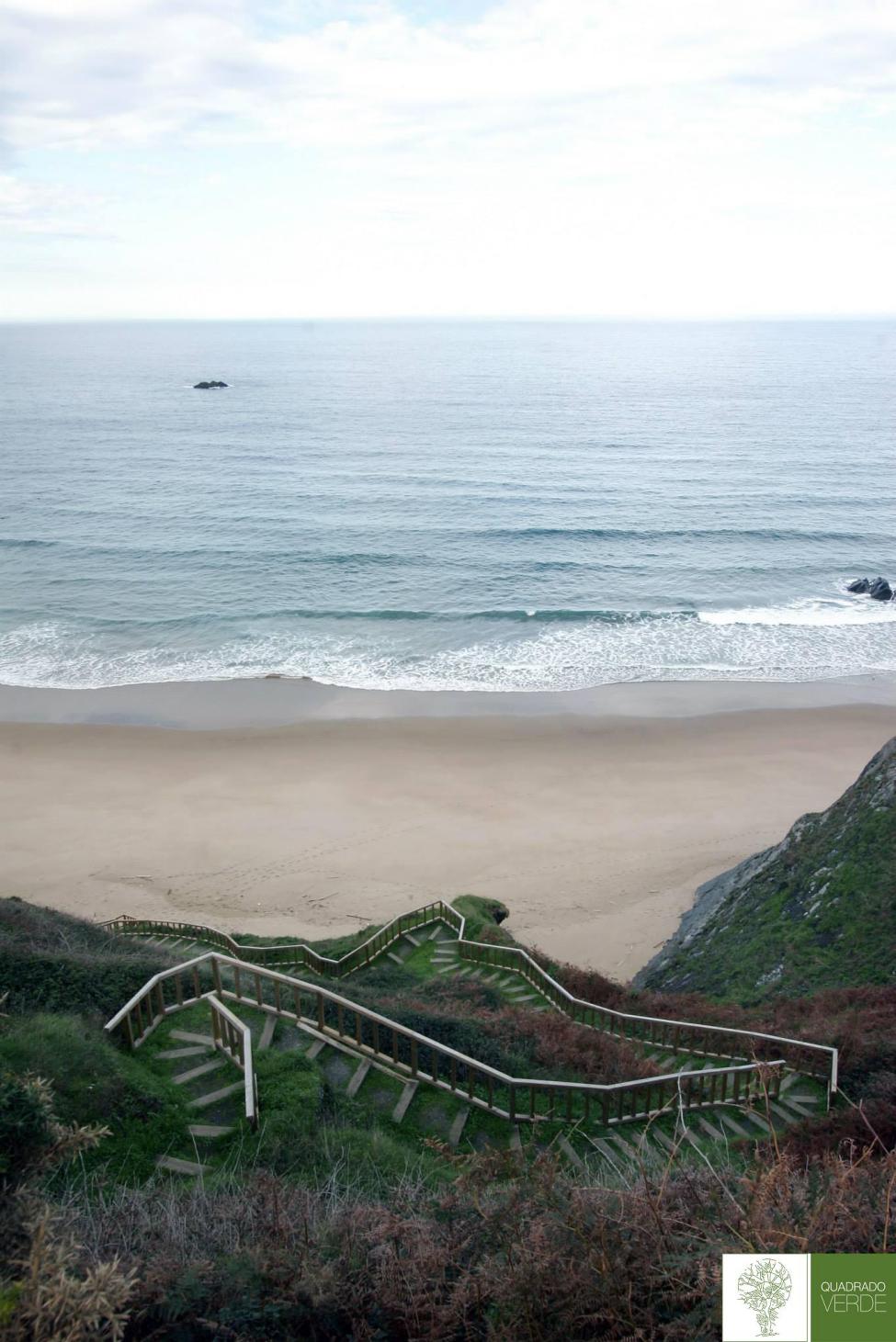 Bajate de madera perspectiva II