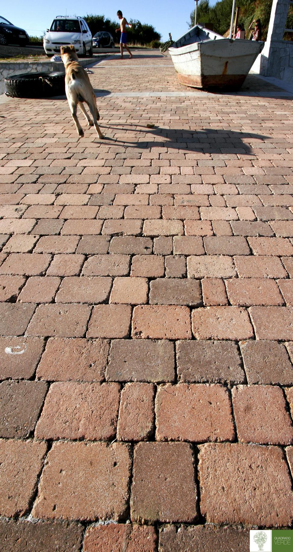 CAMPO PORTIÑO DE LADRIDO 1