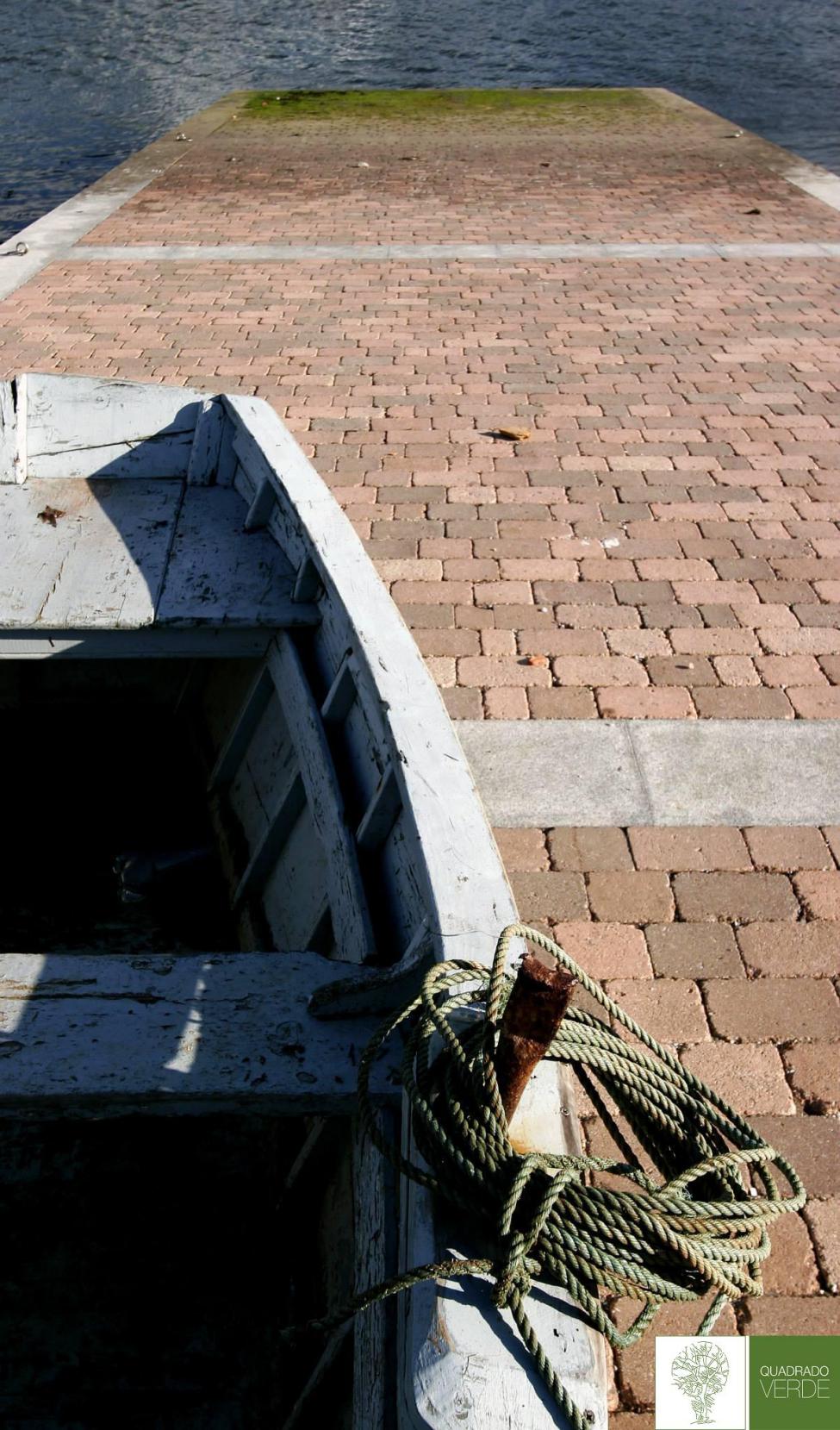 CAMPO PORTIÑO DE LADRIDO 4