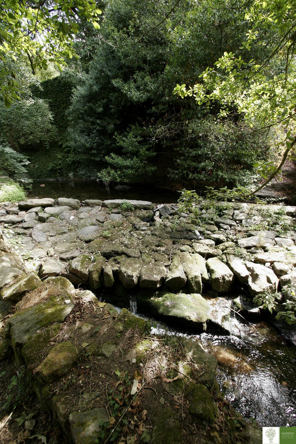 Camino rústico de piedras