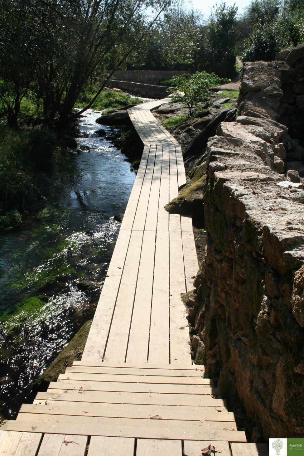 Camino de madera virgen