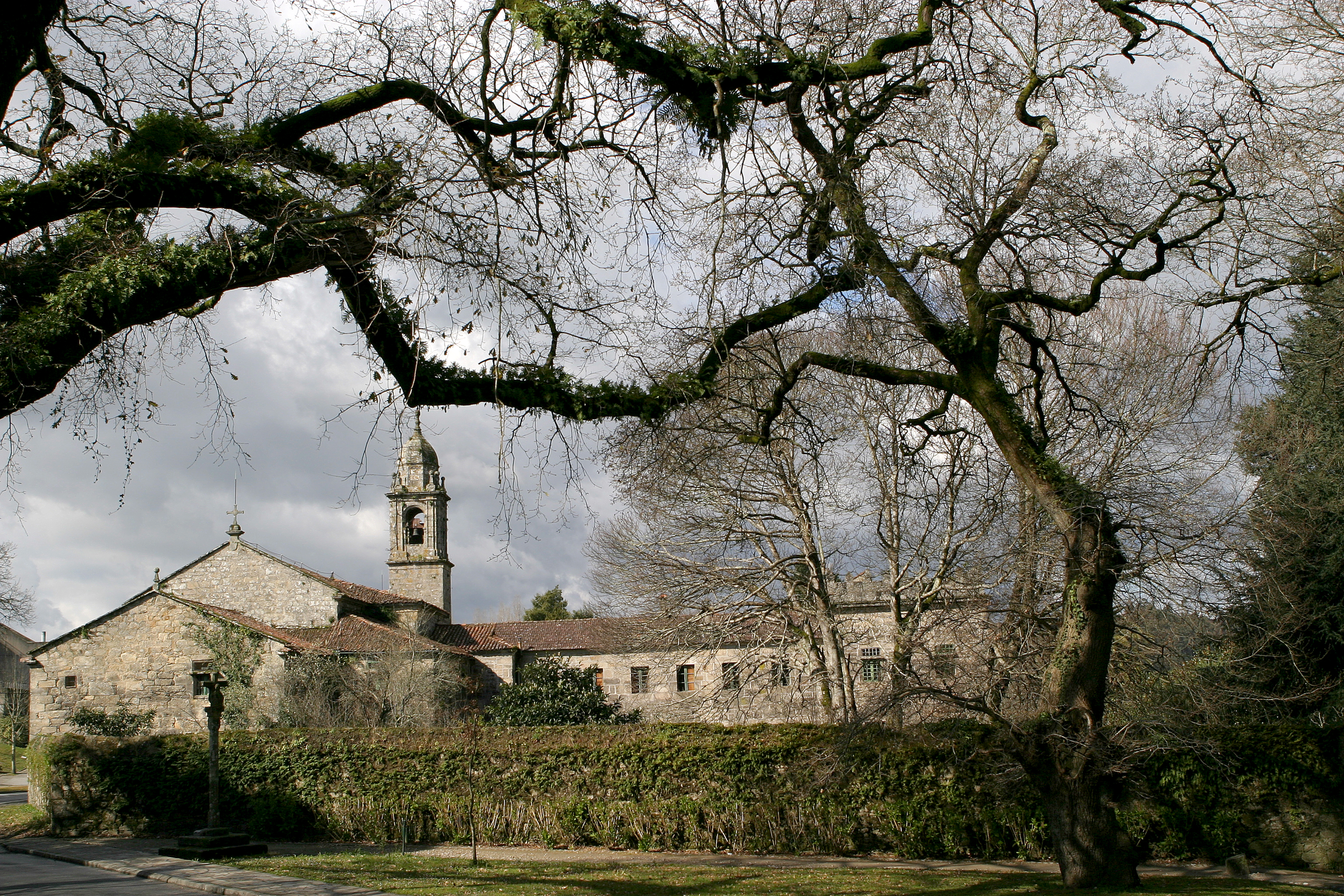 Carballeira de San Lourenzo 1