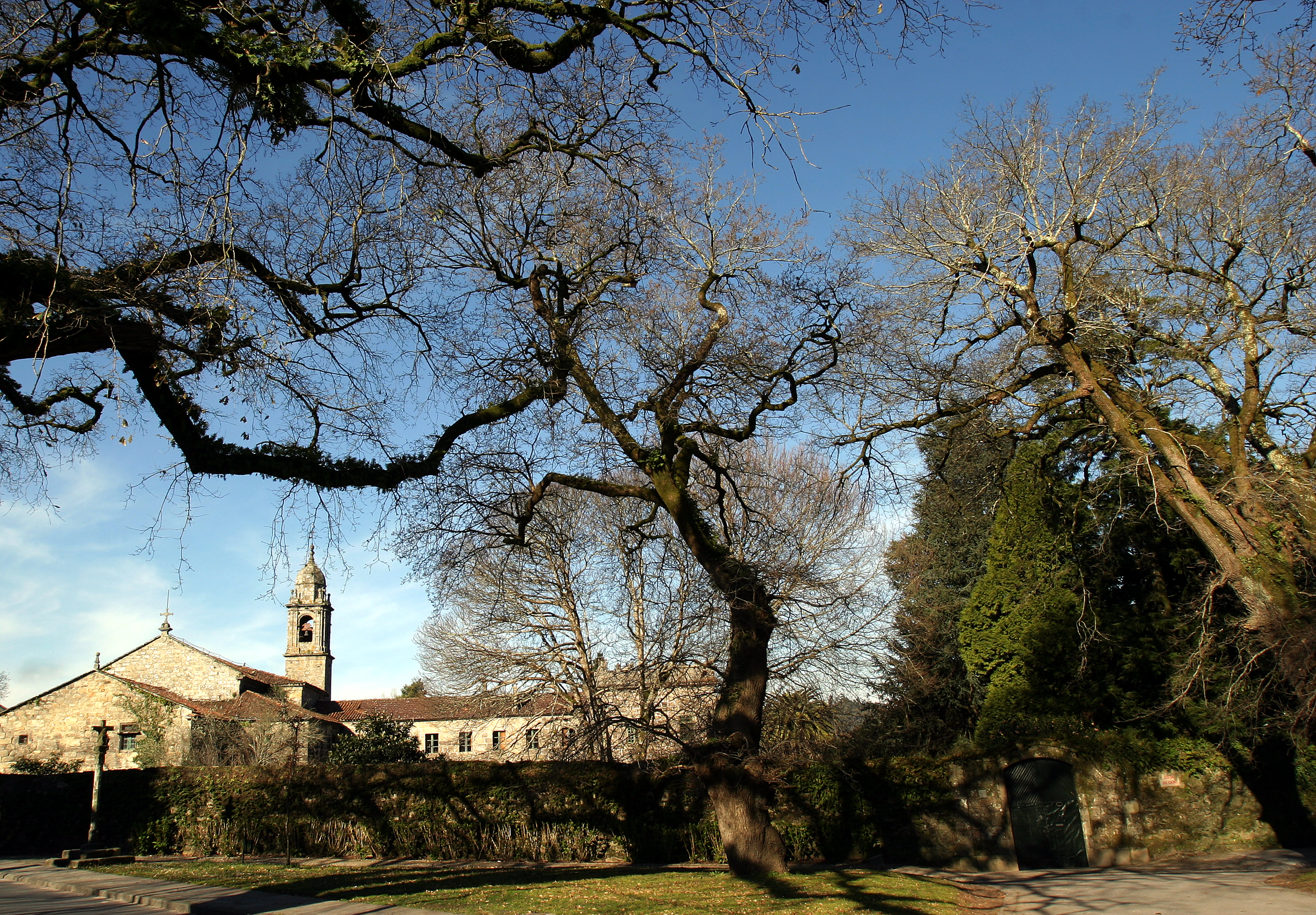 Carballeira de San Lourenzo 5