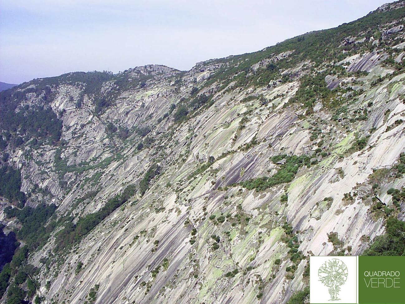 Mantenimiento de la zona