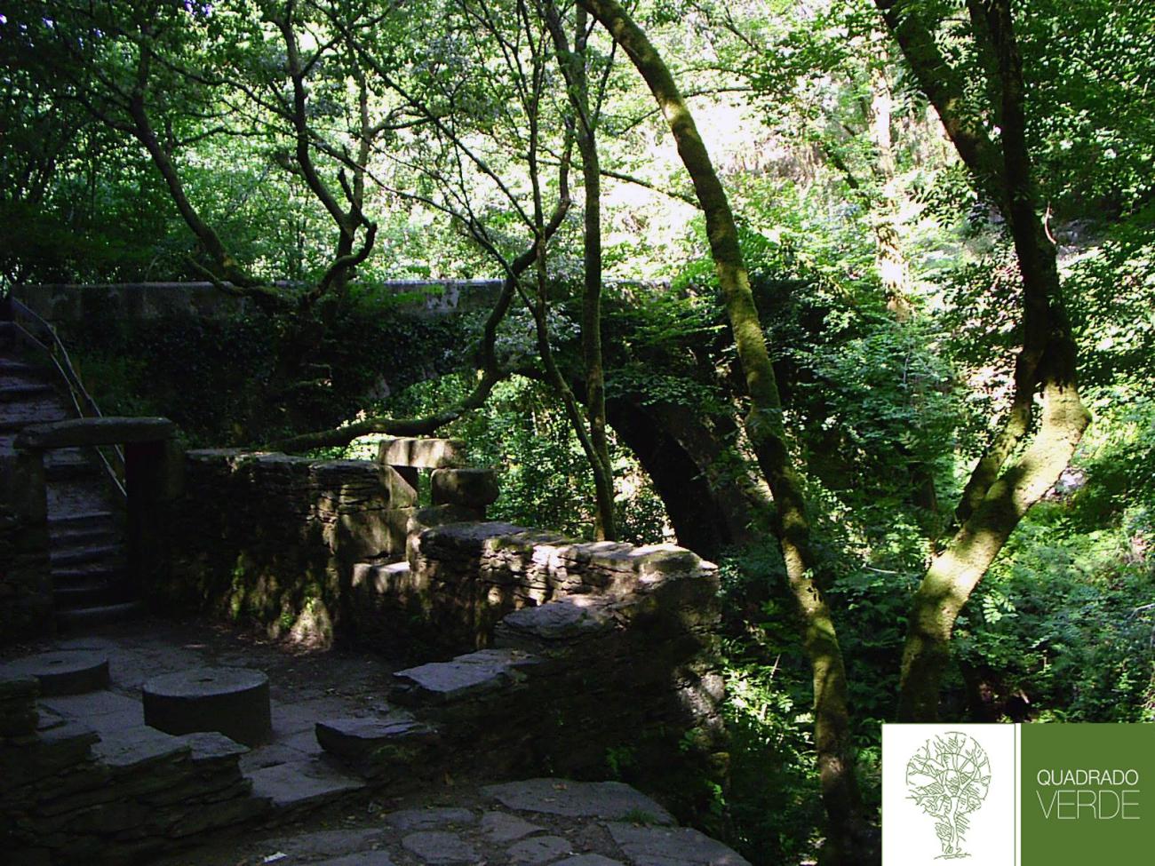 acondicionamiento de la zona