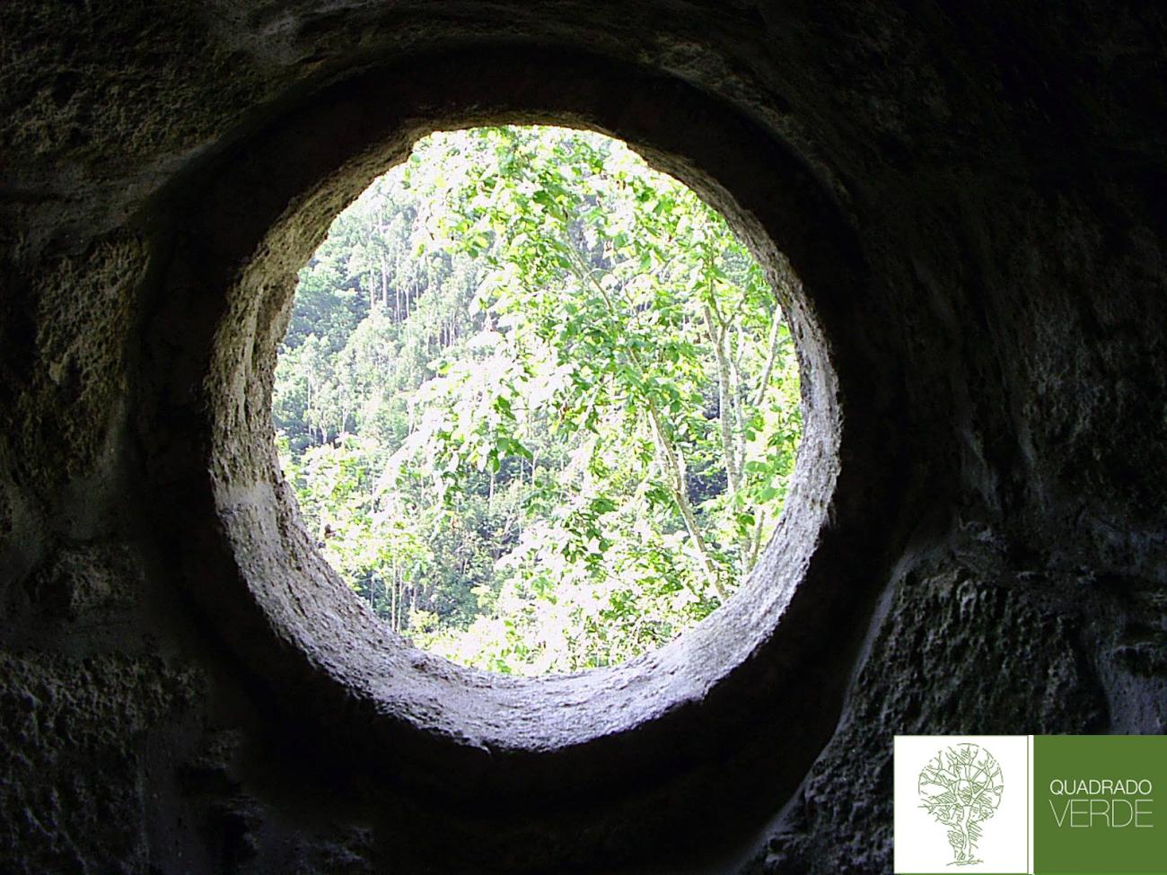 conservación de la estructura