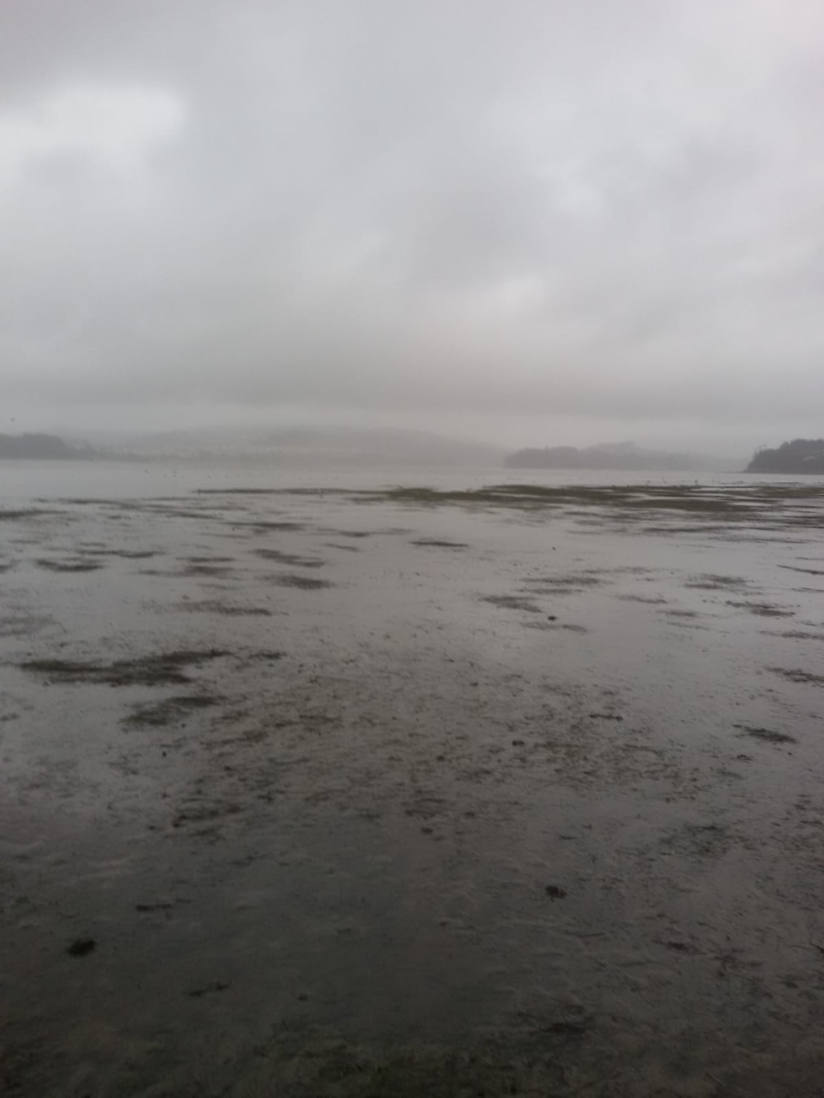 IMG 20190222 WA0006
