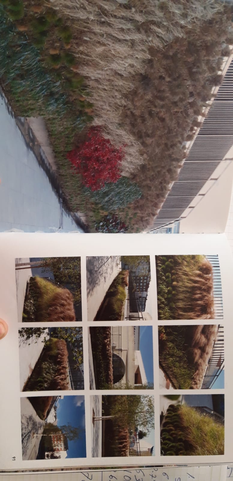 IMG 20191009 WA0025