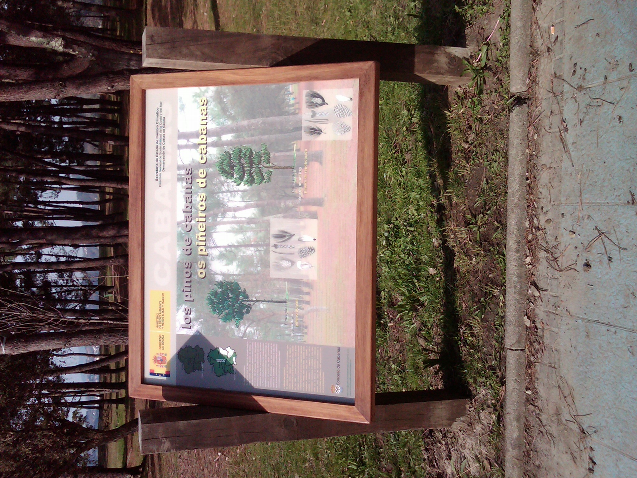 IMG00223 20110207 1342