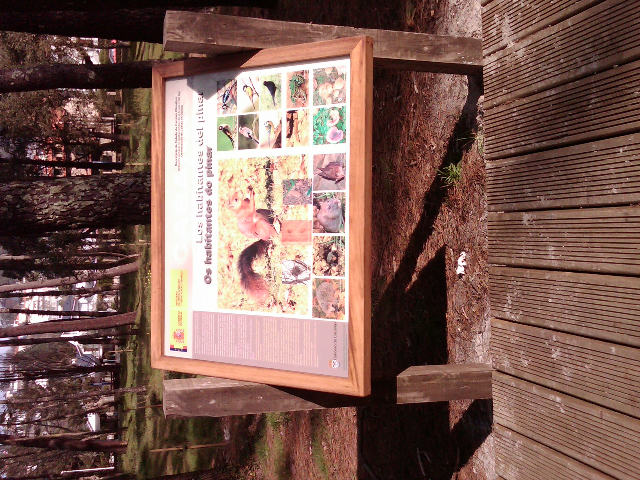 IMG00227 20110207 1346