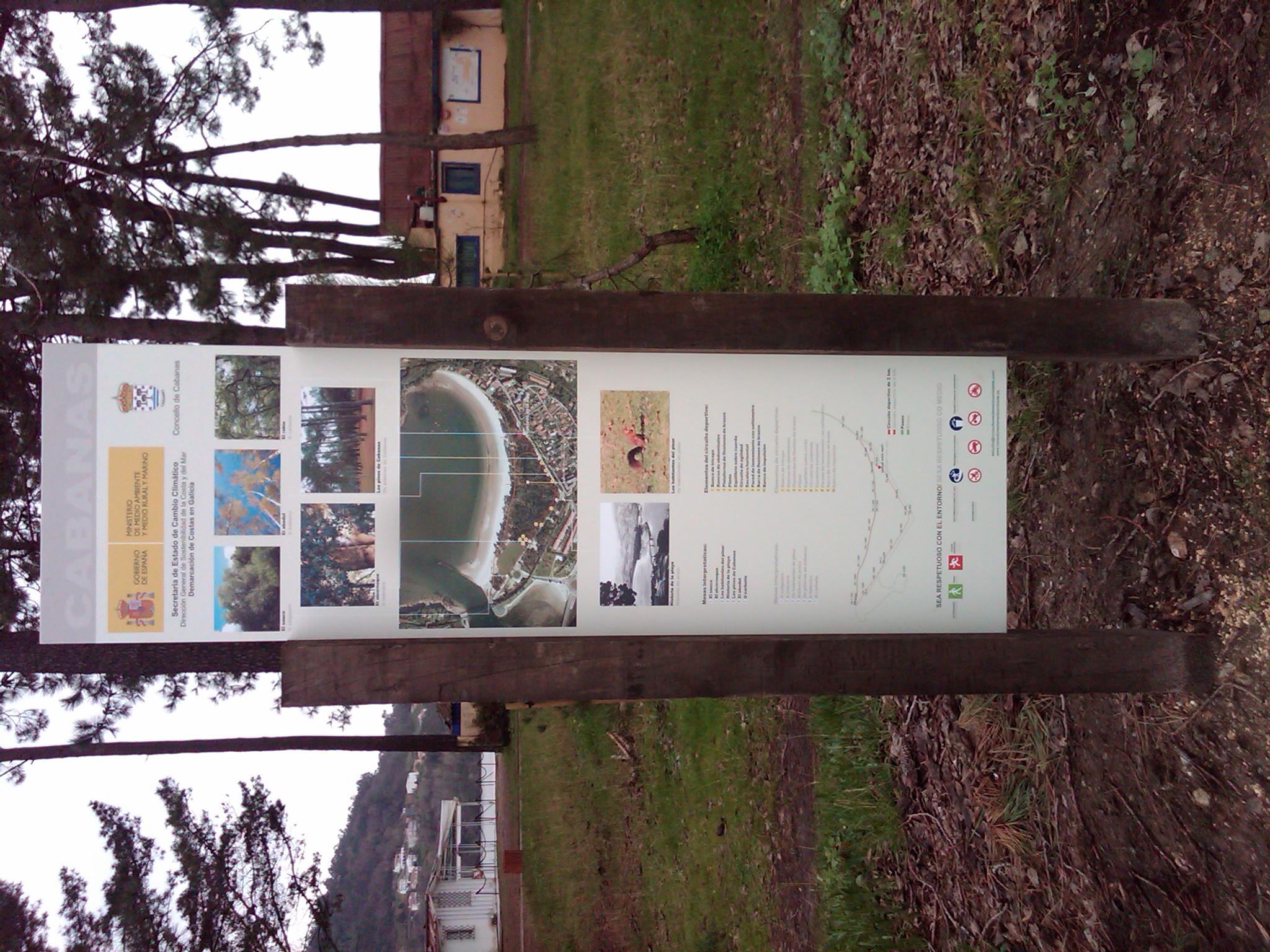 IMG00230 20110214 1241