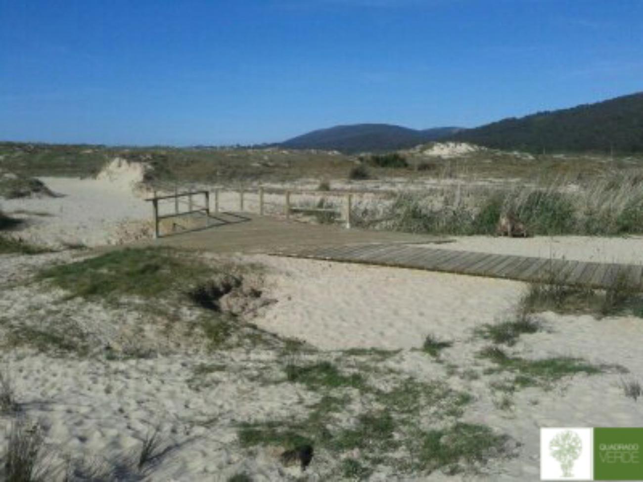 TALLER PLAYA SAN JORGE 5