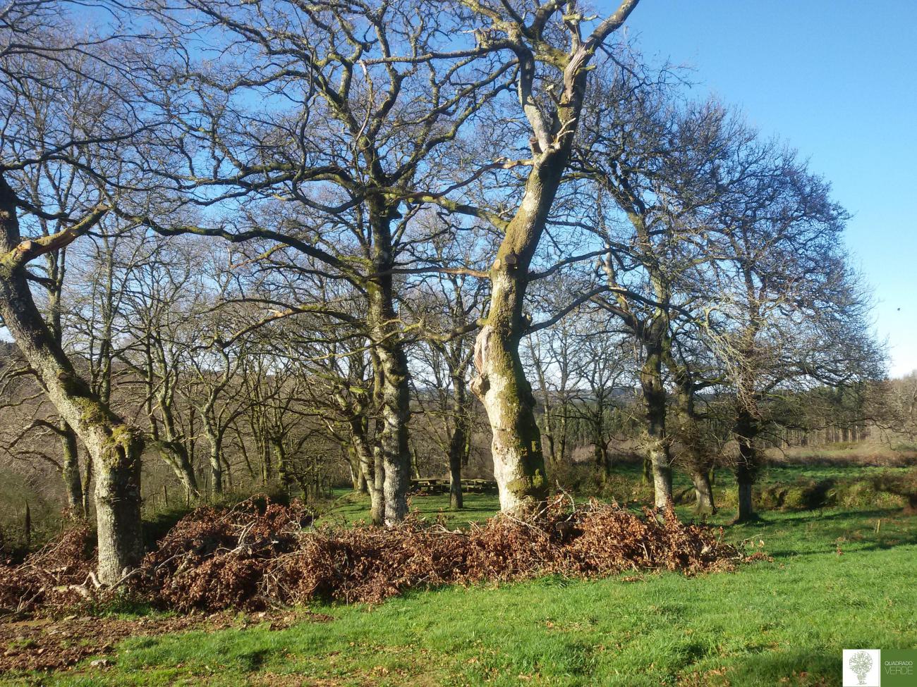 TALLER SOBRADO DOS MONXES 2