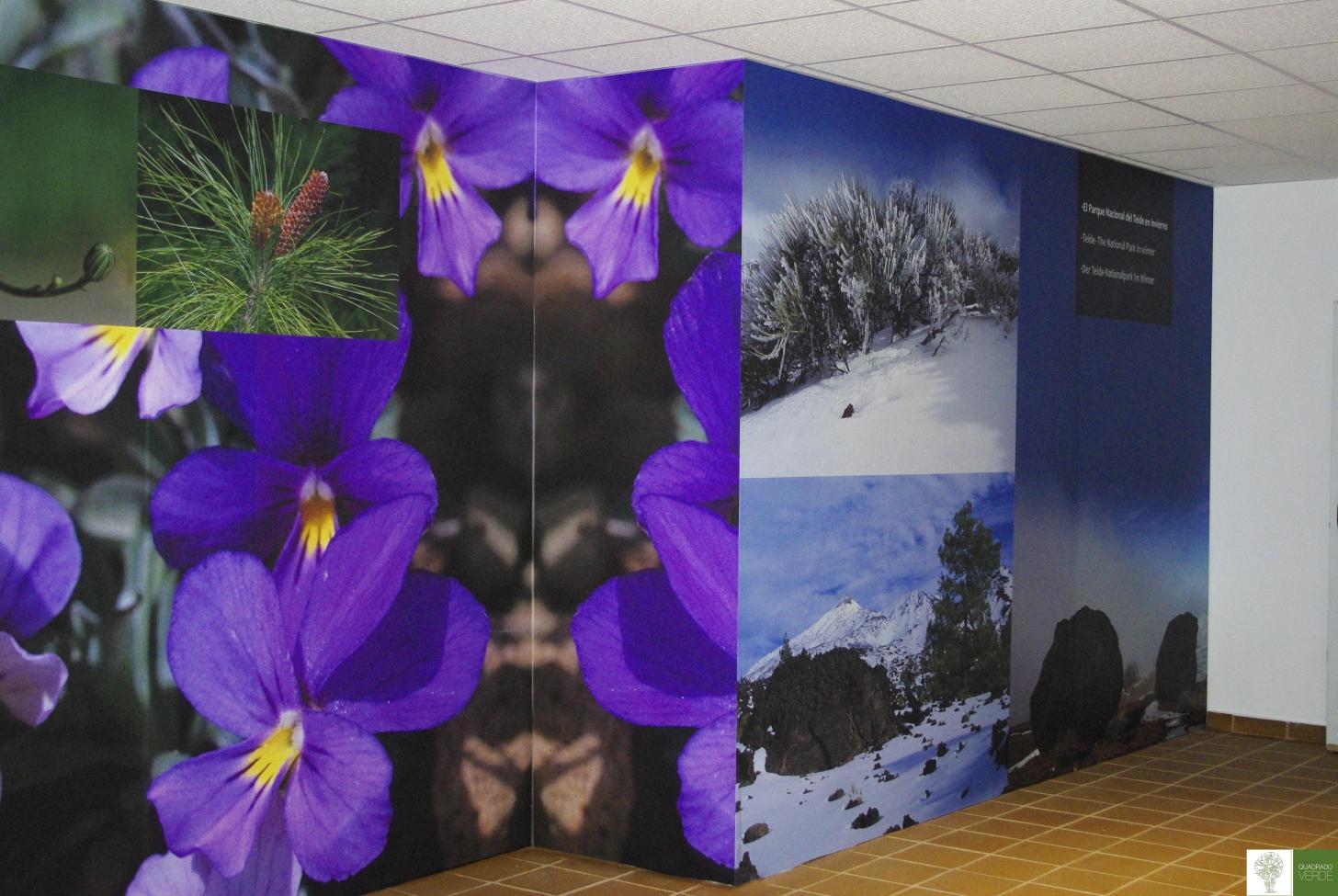 Acondicionamiento Paredes 1